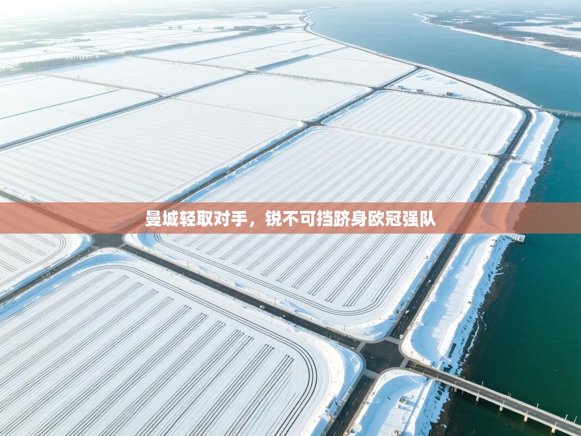 曼城轻取对手，锐不可挡跻身欧冠强队  第1张