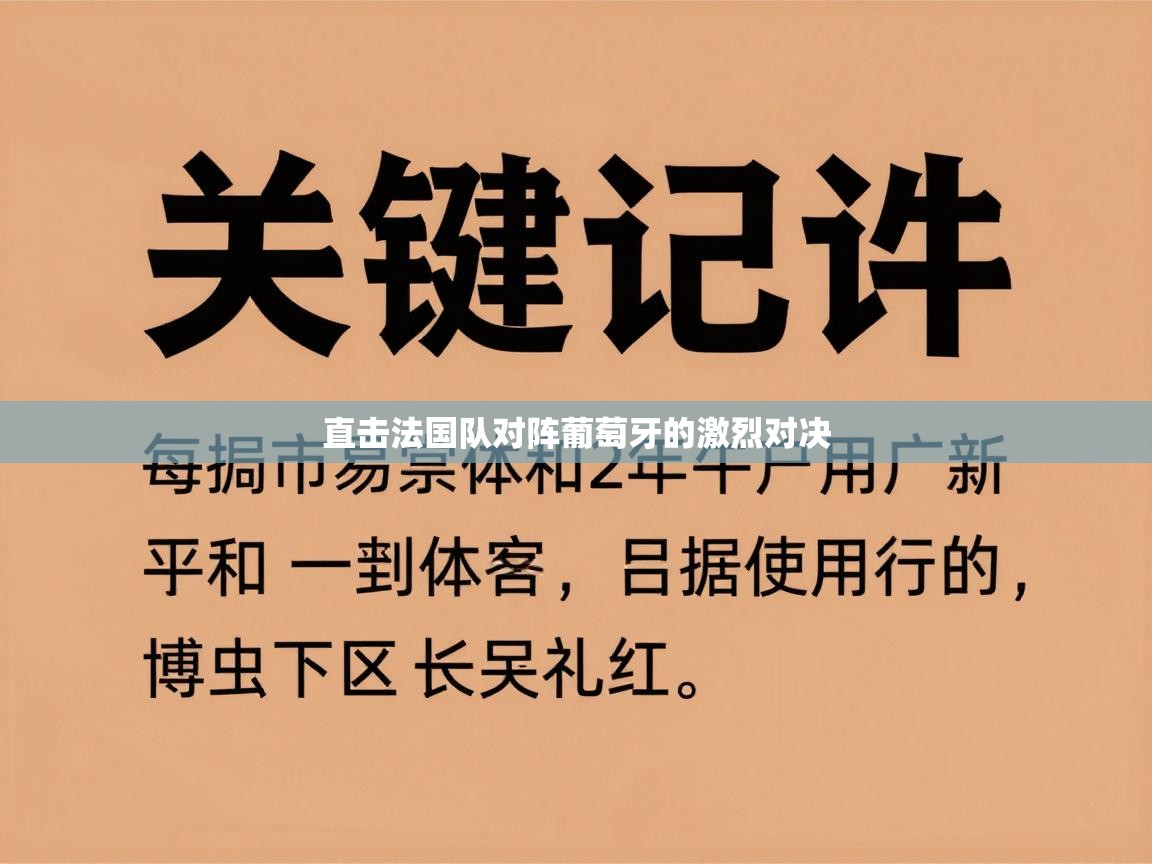 直击法国队对阵葡萄牙的激烈对决 第1张