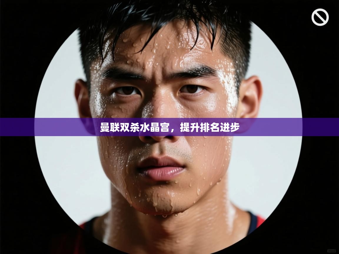 曼联双杀水晶宫，提升排名进步  第2张