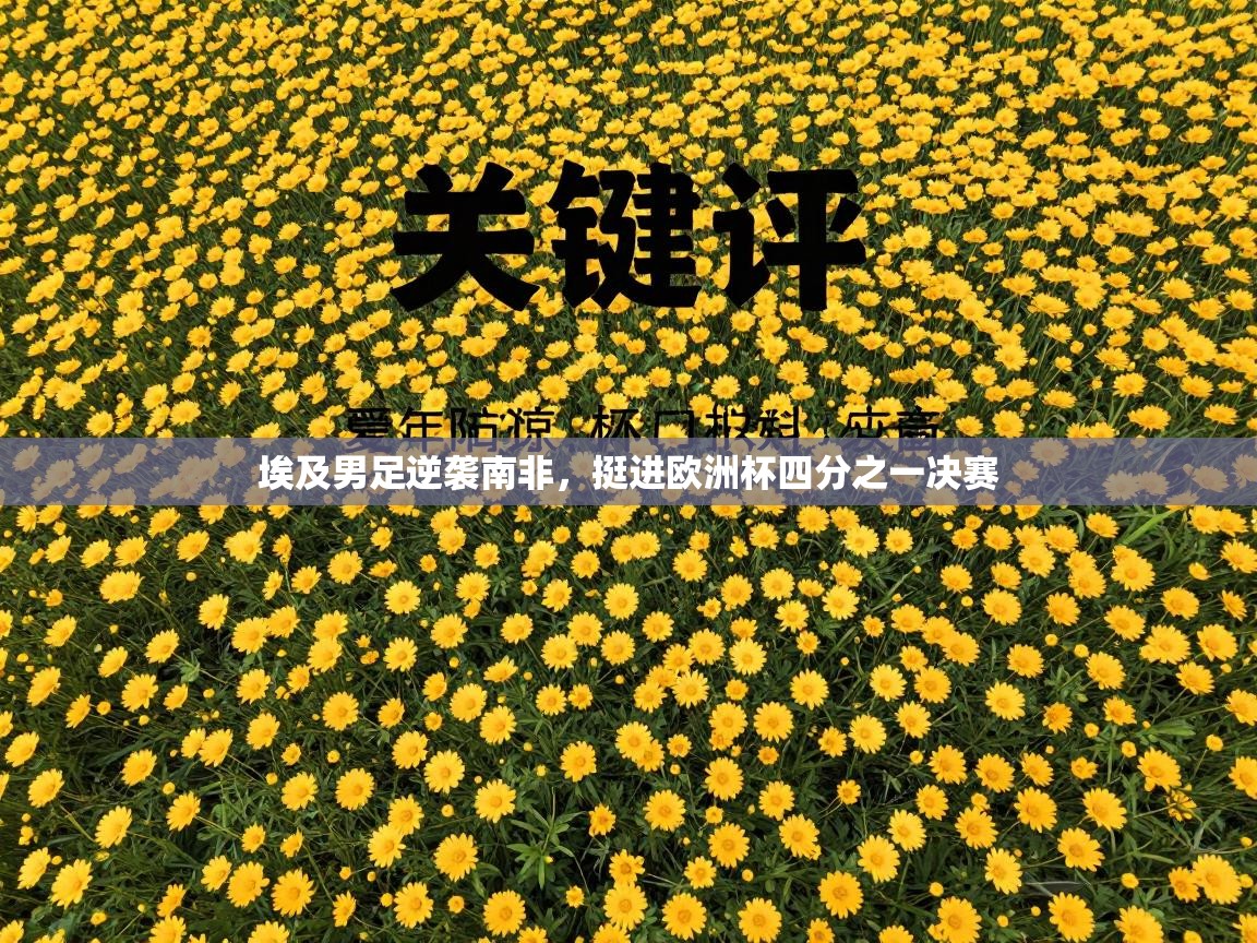 埃及男足逆袭南非，挺进欧洲杯四分之一决赛  第1张