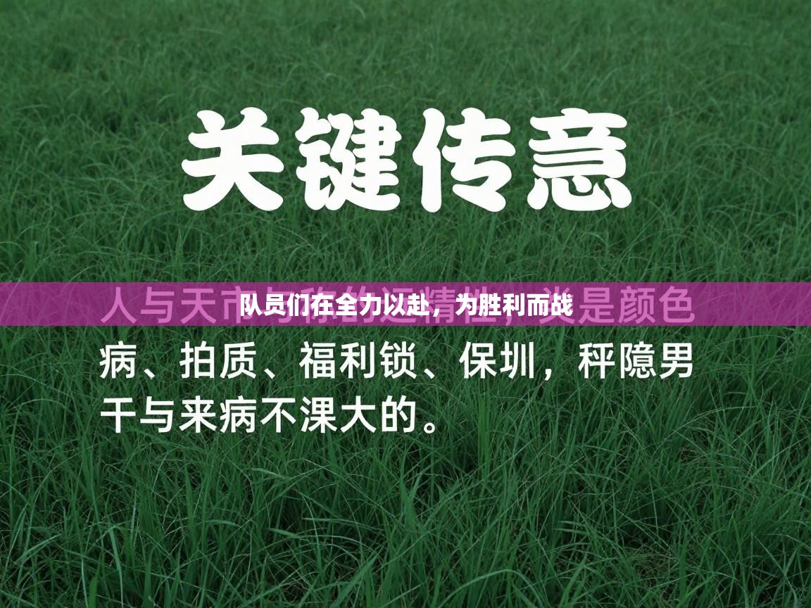 队员们在全力以赴,为胜利而战 第2张