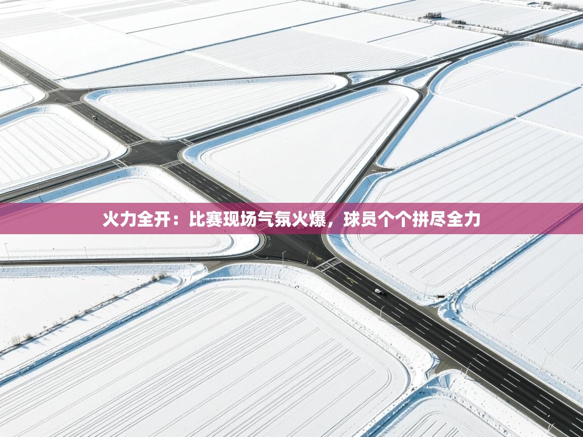 火力全开：比赛现场气氛火爆，球员个个拼尽全力  第1张
