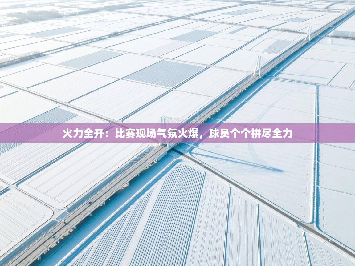 火力全开：比赛现场气氛火爆，球员个个拼尽全力  第2张